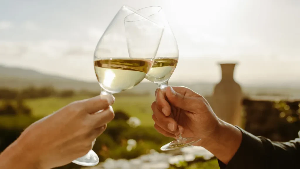 Vinhos para iniciantes - vinhos brancos